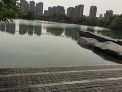 -青枫公园