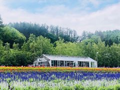 -富田农场