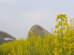 -中国天府农业博览园