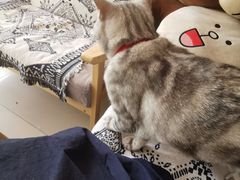-平行世界·猫咖(首经贸店)