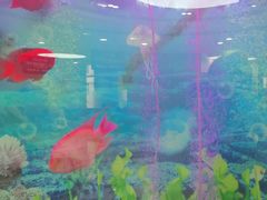-雅悦齿科(顾村公园店)