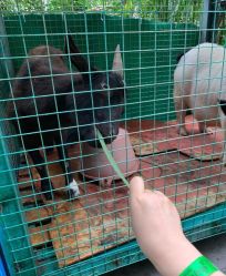 -可可天空农场(中大店)