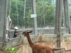 -无锡动物园·太湖欢乐园