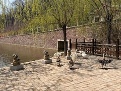 -横山寺