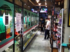 -猫咪博物馆(顶澳仔猫街店)