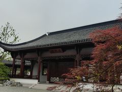 -上海滨江森林公园