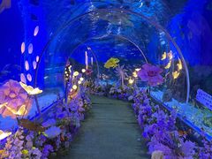 -顺德南宏海立方海洋公园