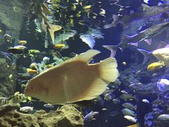 -成都浩海立方海洋公园