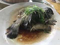 -勒南公舍(龙江店)