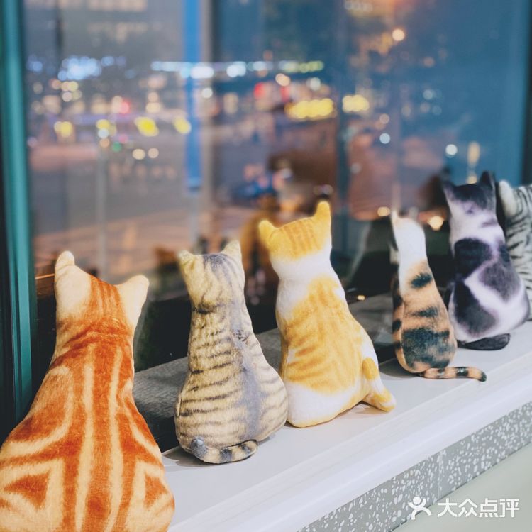 领华宠医·星华宠物医院|医生和环境都非常靠谱的连锁宠物🏥