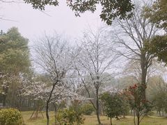 -堤角公园