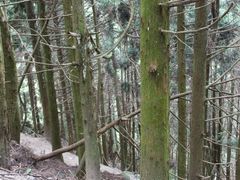 -井冈山风景名胜区-黄洋界
