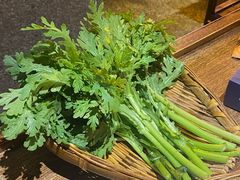 皇帝菜-楠火锅(广州总店)