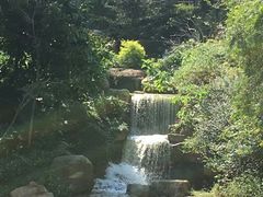 -广州市帽峰山景区