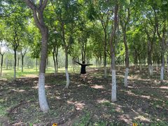 -永定河休闲森林公园