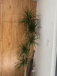 -芊冉•美甲美睫纹绣