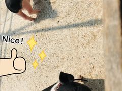 -前小桔亲子创意农场·草莓采摘·露营烧烤