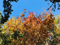 -大兴滨河森林公园