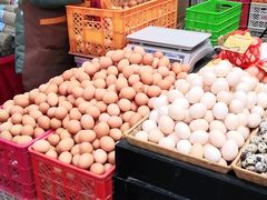 -北京清河镇农副产品交易市场中心