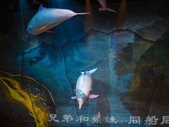 -重庆国际马戏城