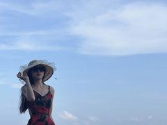 -广东惠东海龟国家级自然保护区
