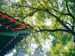 -北京石刻艺术博物馆(五塔寺)