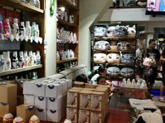 -猫咪博物馆(顶澳仔猫街店)