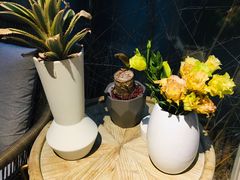 -春树下·树屋花房西餐厅(罍街AS1980店)