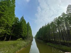 -黄海国家森林公园