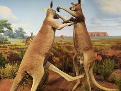 -陕西自然博物馆