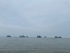-湖州太湖旅游度假区-月亮广场