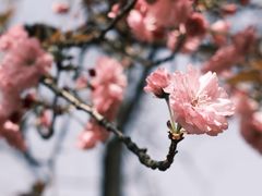 -宜兴龙背山森林公园