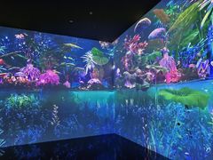 -中国湿地博物馆