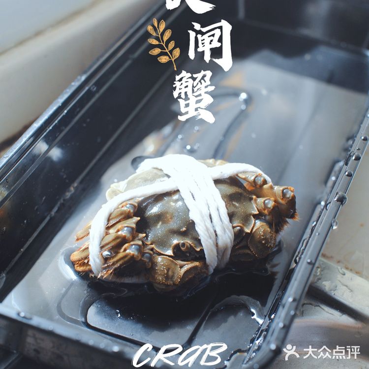 秋天的第一只大闸蟹💥满满的蟹膏终于来了‼️