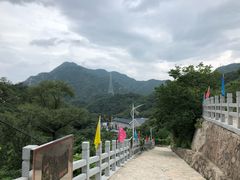 -大岭沟猕猴桃谷风景区