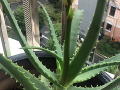 -比斯特上海购物村精品奥特莱斯