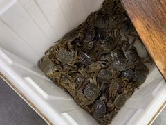 -阳澄湖大闸蟹·琼灵阁牌品牌连锁(吴中总店)