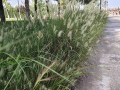 -汉长安城未央宫国家考古遗址公园