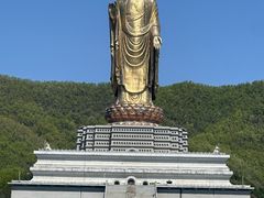 -中原大佛景区