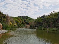 -云溪植物园