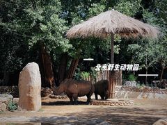 -北京野生动物园