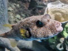 -太平洋海底世界