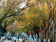 -安徽大学(龙河校区)