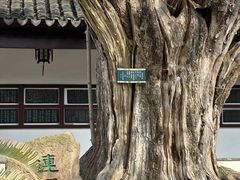 -苏州文庙(姑苏区)