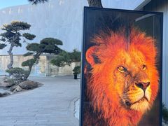 -罗红摄影艺术馆