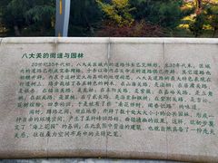 -八大关景区