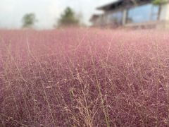 -胖哥俩肉蟹煲(苏州中心店)