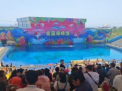 -北戴河圣蓝海洋公园
