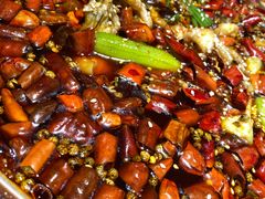 -雲蜀龙阁·金牌水煮鱼(方庄店)