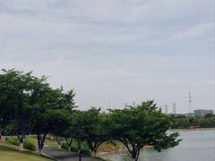 -羊山湖公园